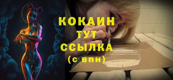 гидра Магас