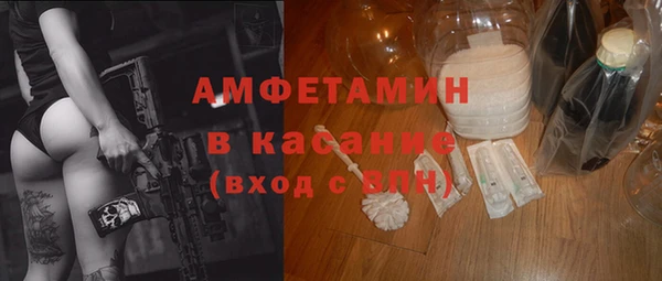 индика Тобольск