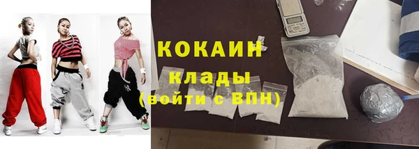 гидра Магас