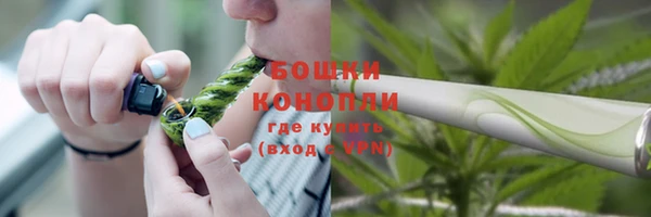 ECSTASY Майский