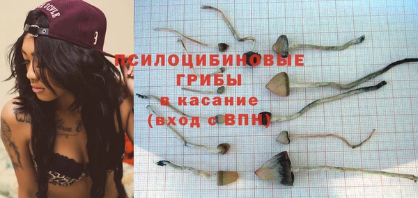 гидра Магас